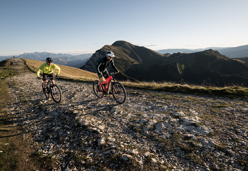 ZIENER Images Iconpedia